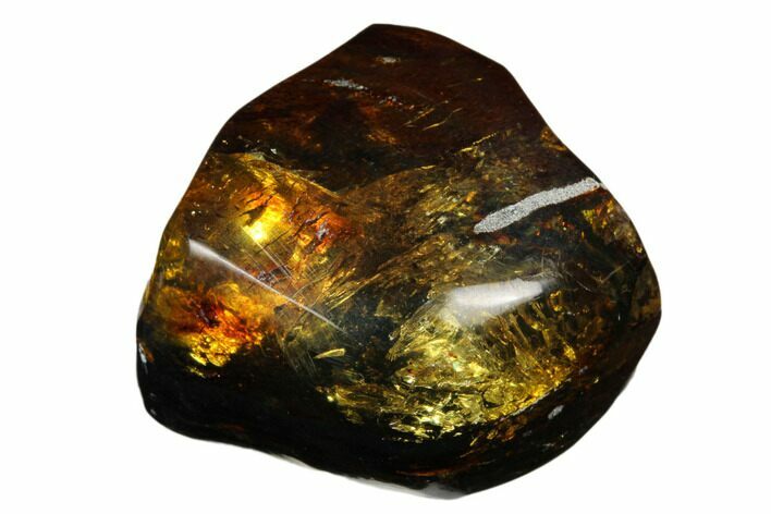 Polished Chiapas Amber ( g) - Mexico #180406